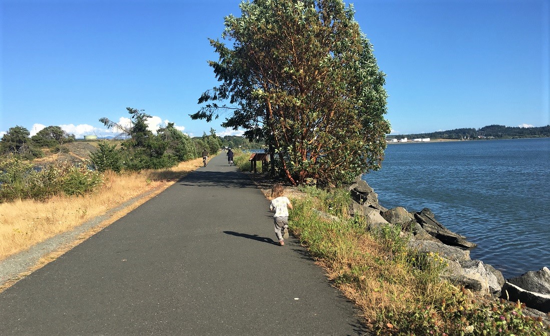Tommy Thompson trail in Skagit County kid-friendly nature walks northwest Washington