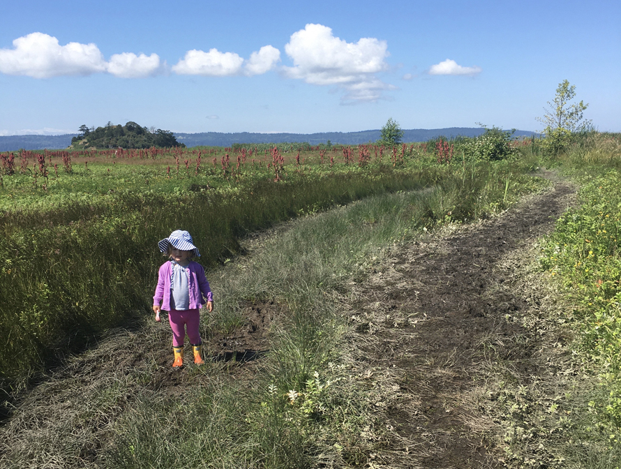 Craft Island kid-friendly skagit county washington hikes for families