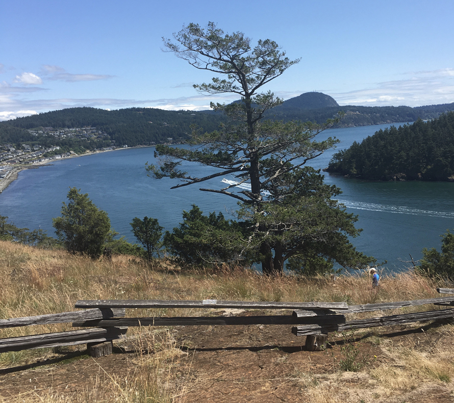Washington Park in Anacortes best family nature walks in Skagit County, Washington
