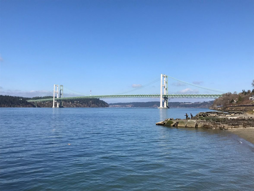 View-of-Tacoma-Narrows-Bridge-Titlow-Park-agents-of-discovery-nature-app-fun-kids-families