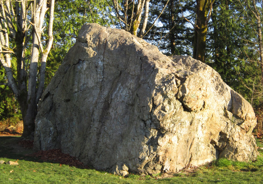 Martha Lake Airport Park Boulder