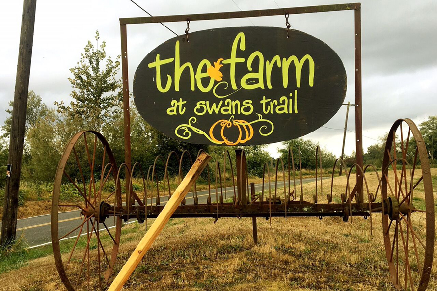 farm at swan trail