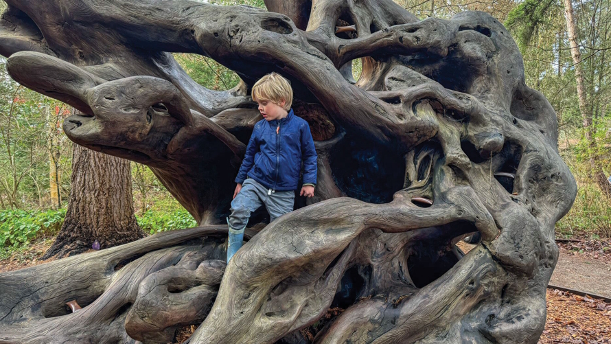 Child on a climbing structure at Kruckenberg Garden in Shoreline.