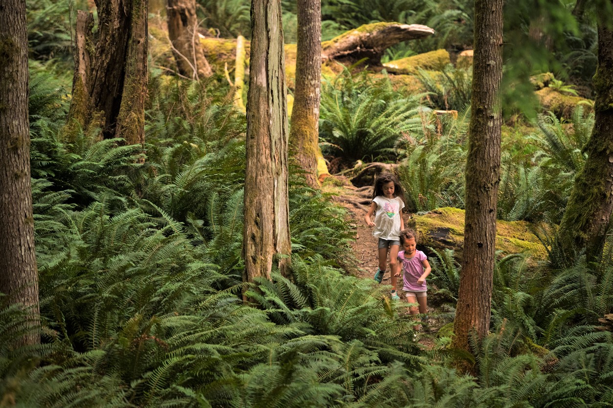 girls running on a trail in the woods seattle northwest hiking summer