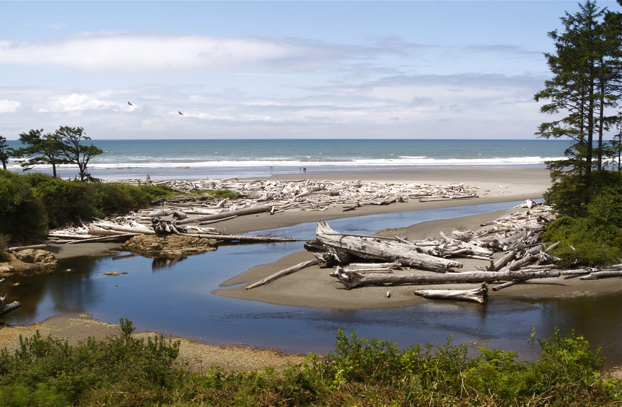 view of the pacific ocean from kalaloch lodge on the washington coast seattle getaways for families