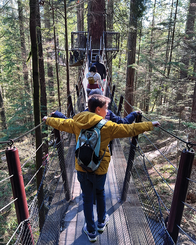 Taking in the view from the suspension bridge