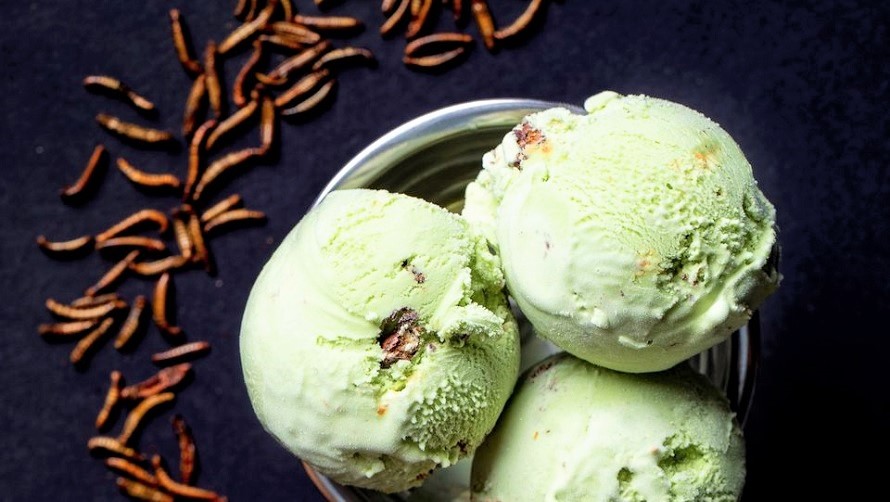 Salt & Straw's seasonal bug ice cream called Creepy Crawly Critters contains mealworms