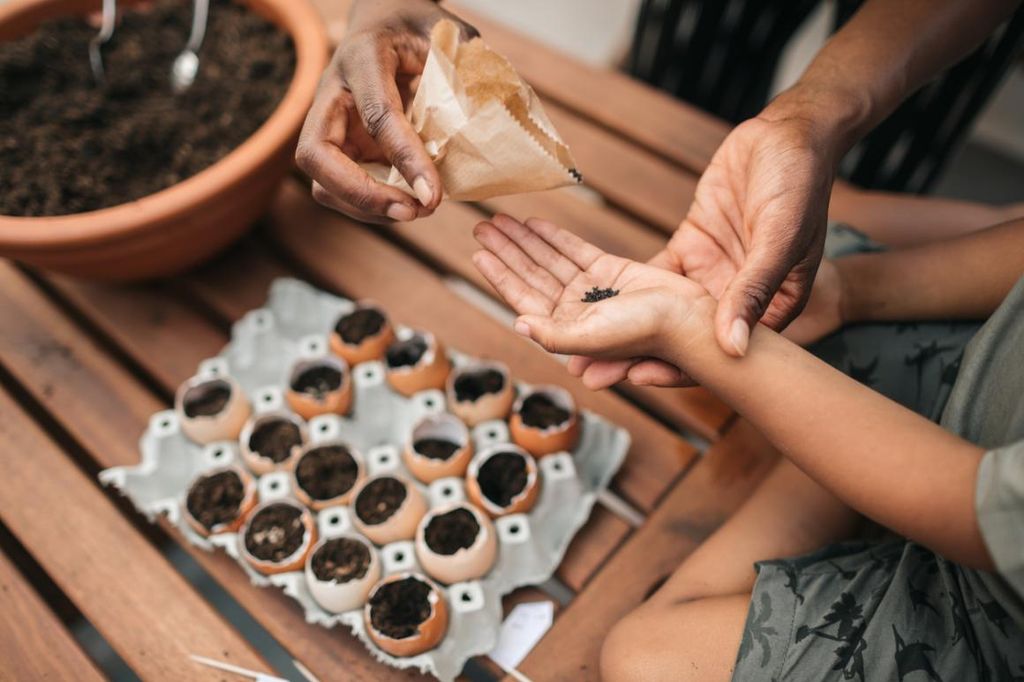 Backyard Environmental Learning Activities for Kids and Families