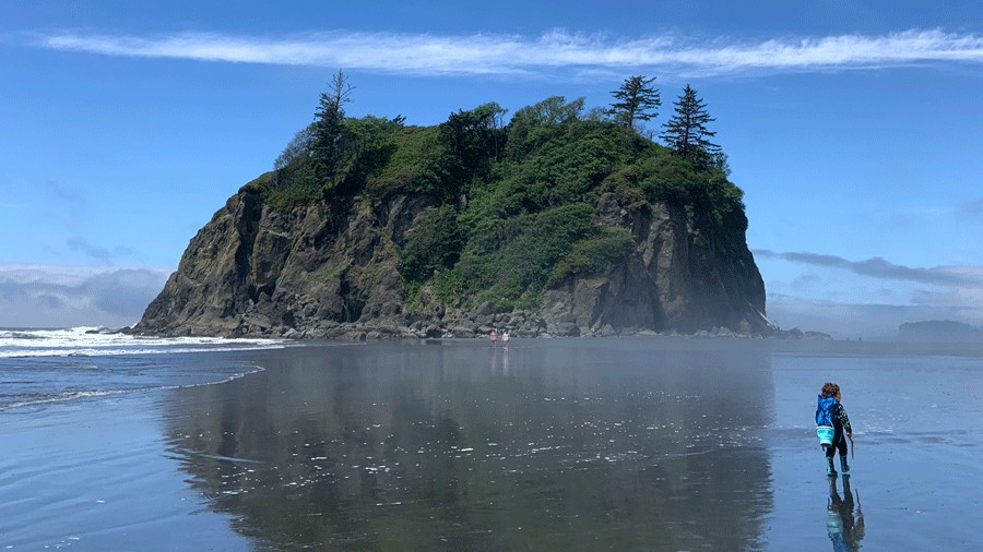 young kid exploring the Pacific Coast in Olympic National Park