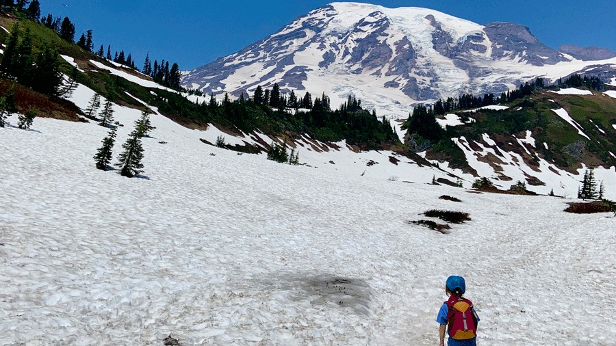 young kid staring up at Mount Rainier after hiking in the national park with family