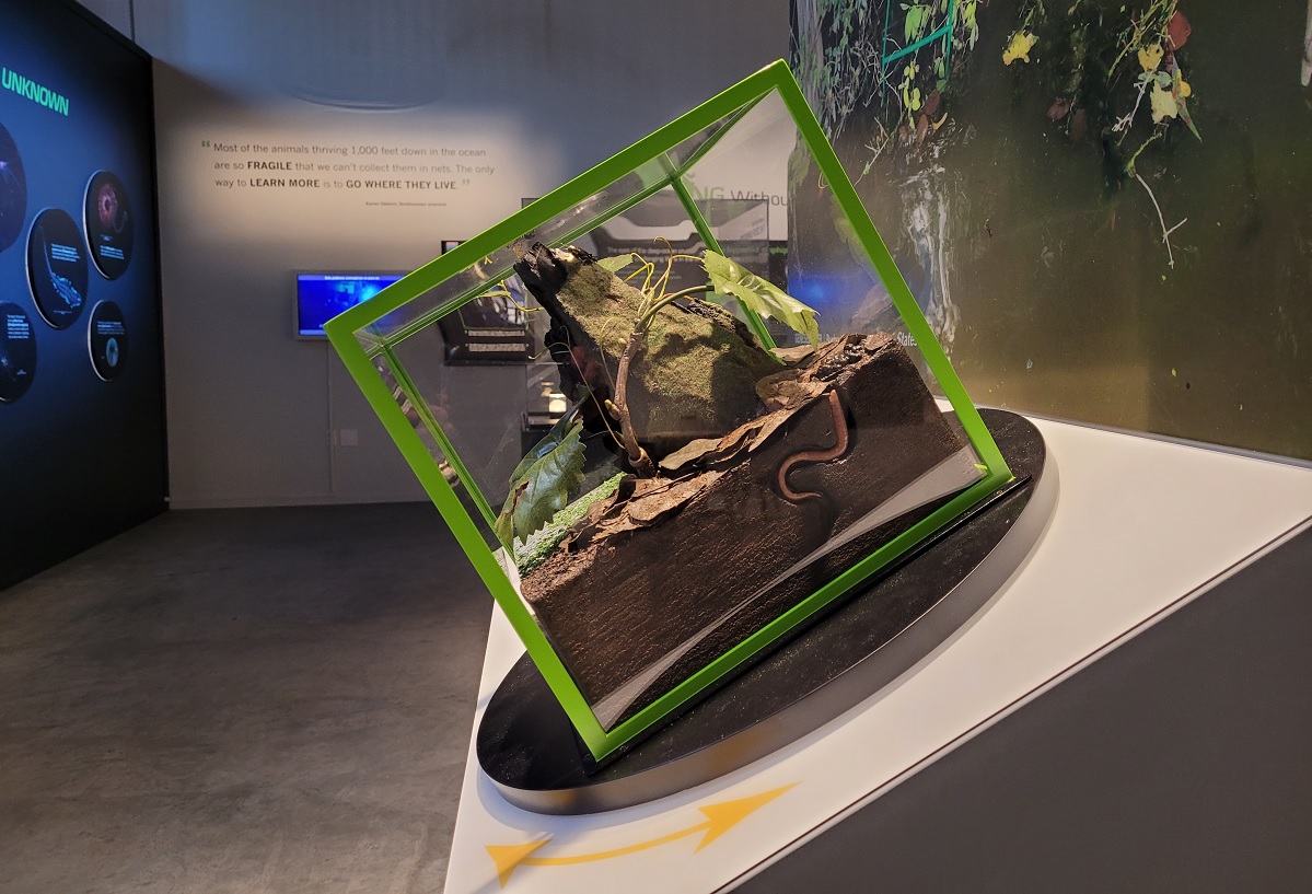 Biocube model that kids can inspect and spin at Burke Museum life in one cubic foot special exhibit seattle