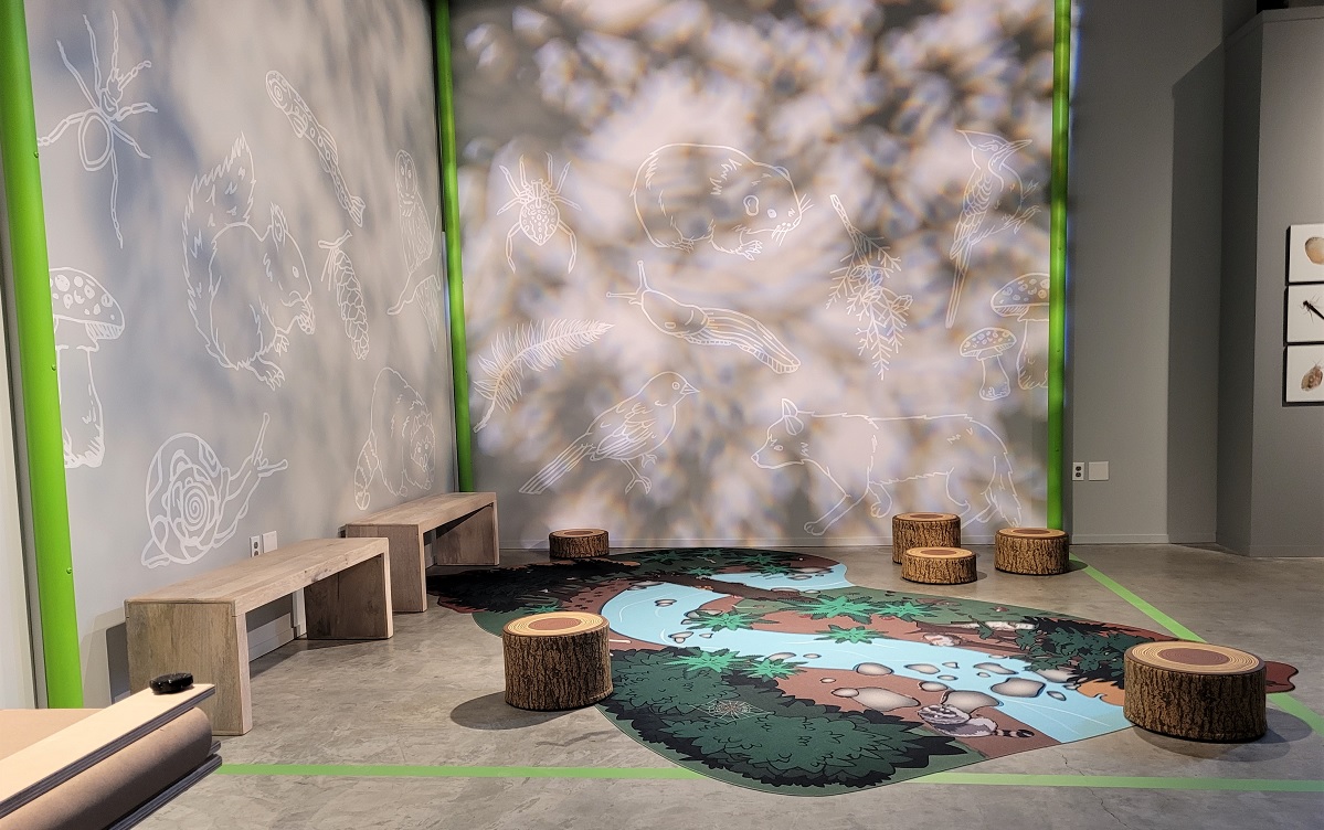 Life size biocube play area at Burke Museum Seattle Life in One Cubic Foot exhibit