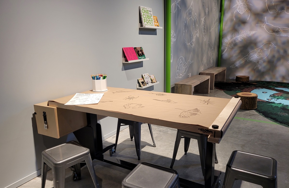 Burke Museum Life in one cubic foot art station