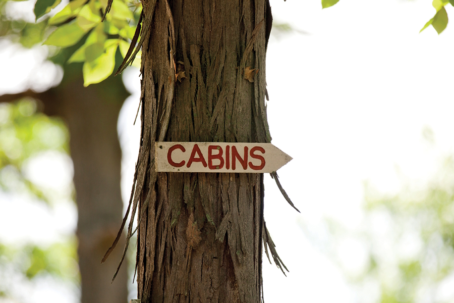 sign on a tree that says cabins, summer camp