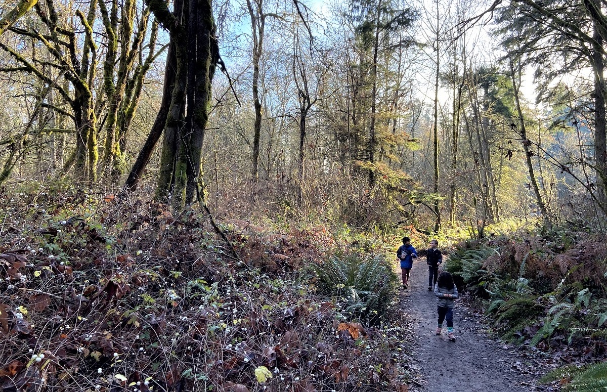 Kids on a a Bainbridge Island hiking trail near Schel Chleb park and playground best Bainbridge hikes seattle families
