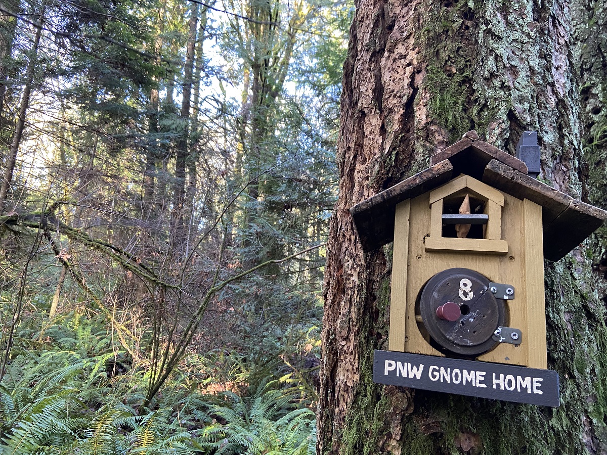 PNW gnome home, a small wooden birdhouse-like structure hung on a tree on a Bainbridge Island trail