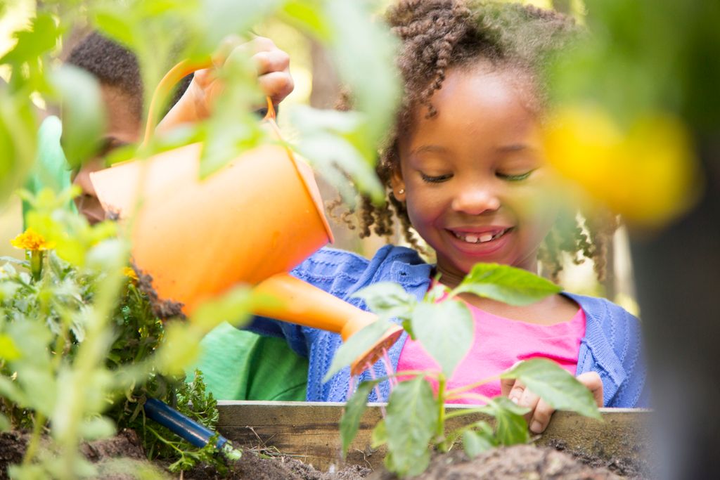 Our Ultimate Guide to Starting a Garden With Your Kids