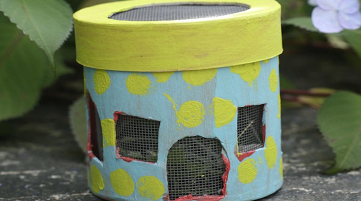 bug house