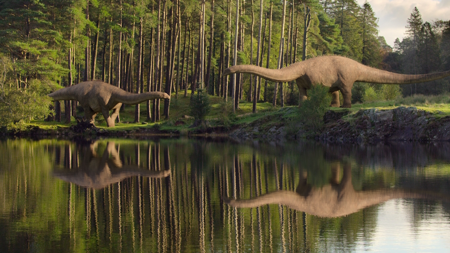 Image from the Netflix show, “Life on our Planet”