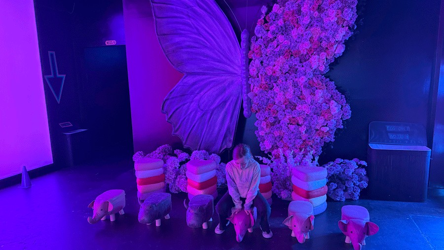 giant floral butterfly photo op at C.H.E Arcade in Bellevue