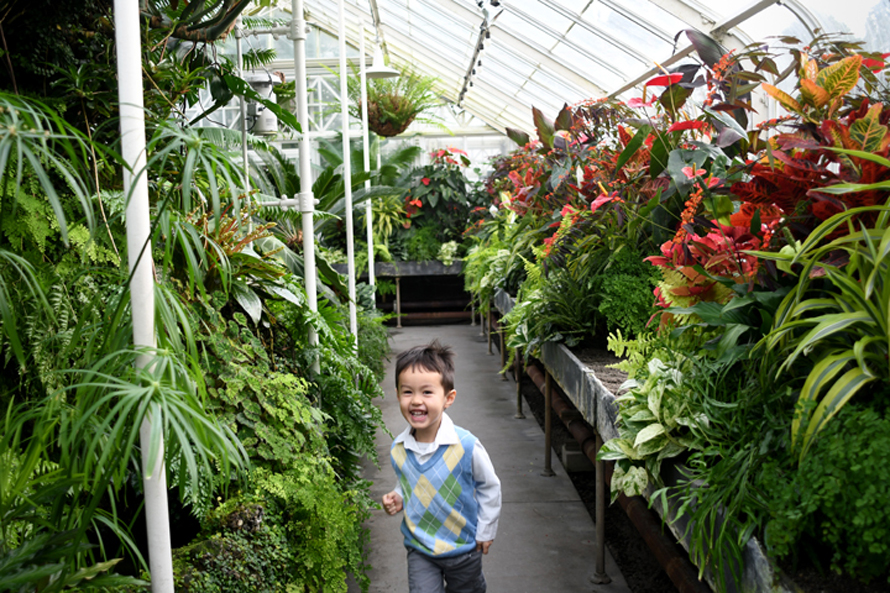 Seattle’s Volunteer Park Conservatory: A Warm and Wonderful Escape