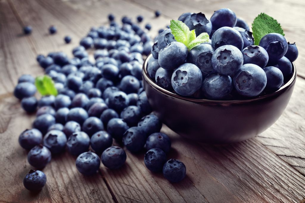Blueberry Recipe Contest for Kids