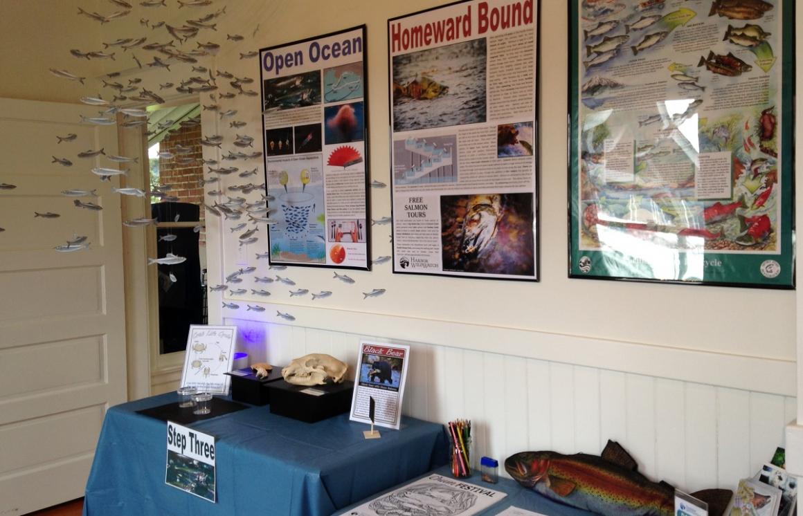 Interior of Harbor WildWatch in Gig Harbor Washington