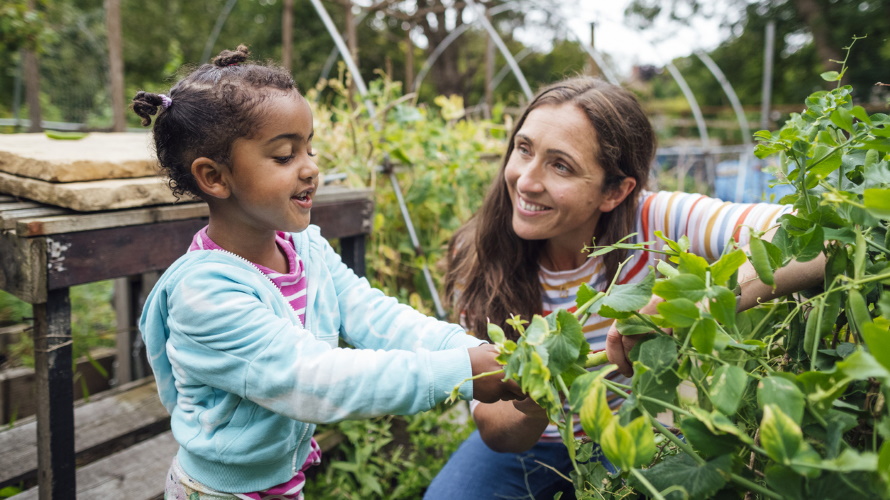 Kid-eating-peas-in-garden