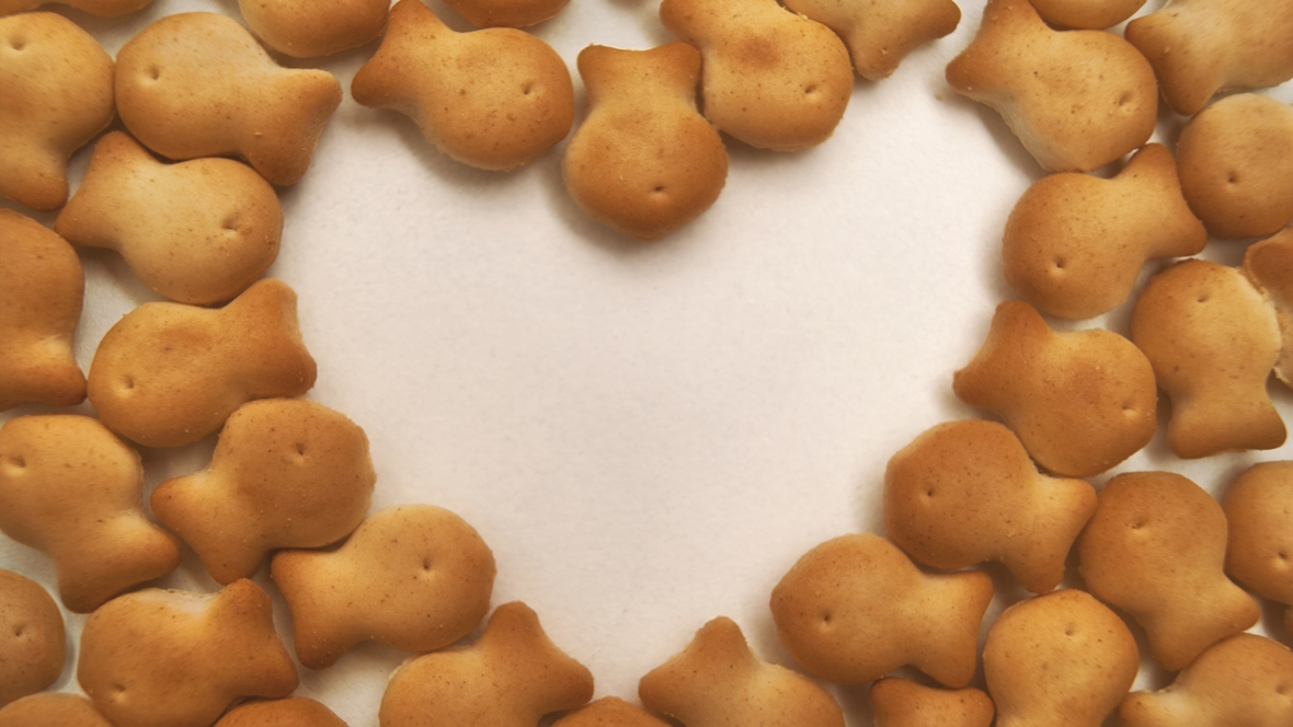Goldfish crackers in the shape of a heart
