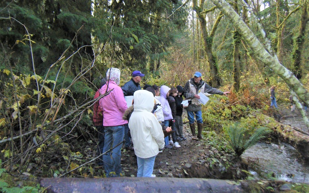 mclane creek salmon viewing Thurston County Stream Team