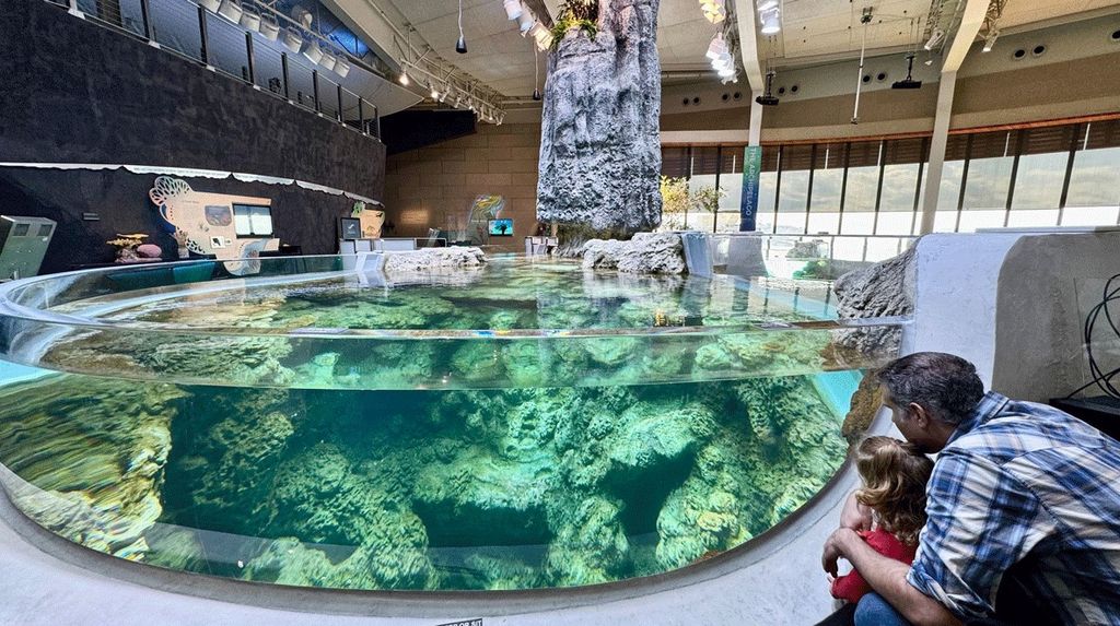 Seattle Aquarium’s Ocean Pavilion Is Finally Open