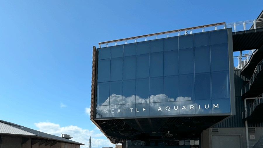 Large windows of the Ocean Pavilion at Seattle Aquarium reflect the clouds in the sky