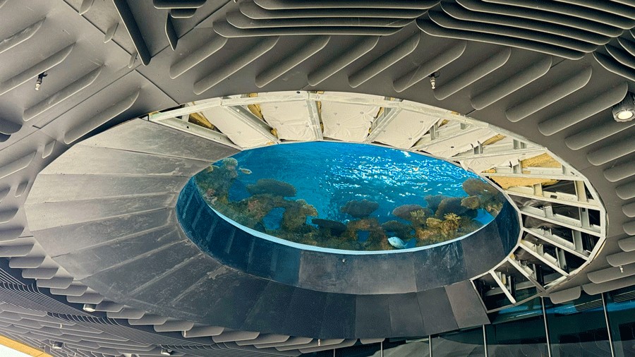 The oculus above the Ocean Pavilion plaza at the Seattle Aquarium with a view into The Reef