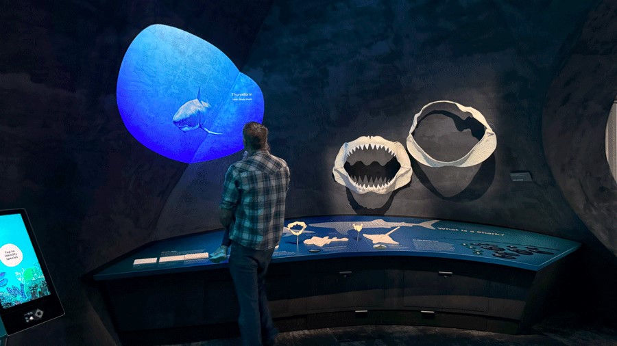 A family looks at the shark display near The Reef at Seattle Aquarium's Ocean Pavilion