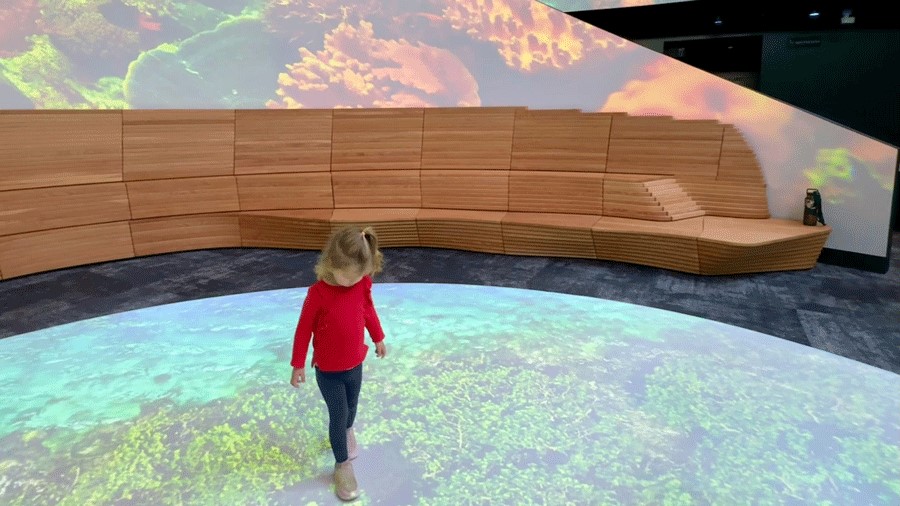One Ocean Hall is an interactive display at the Seattle Aquarium Ocean Pavilion, showing video of mangrove forests and underwater habitats