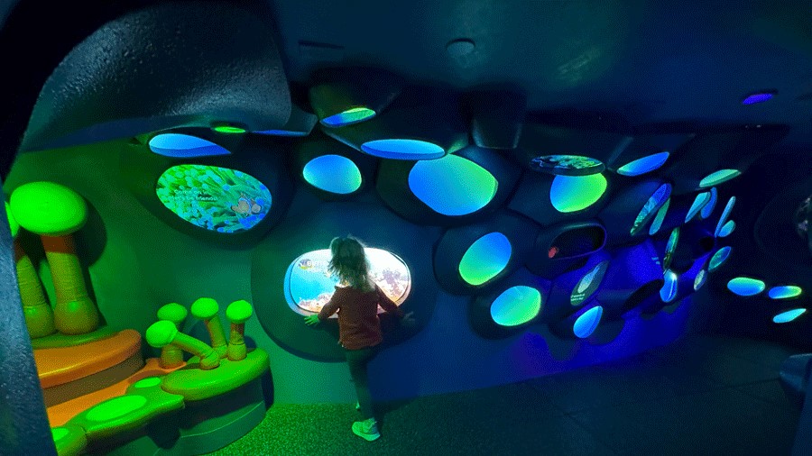 Young kids can watch different displays in the Coral Reef Encounter at Seattle Aquarium Ocean Pavilion