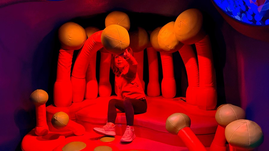 young girl explores the Coral Reef Encounter at Seattle Aquarium Ocean Pavilion