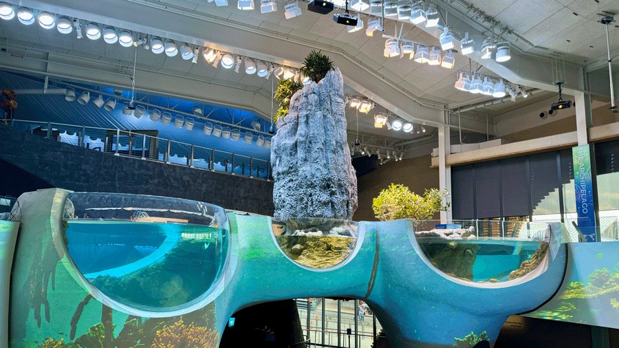 The view of the Archipelago walking up from the first floor of Seattle Aquarium Ocean Pavilion