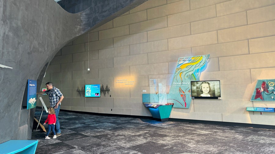 Interactive screens at the upstairs Reef exhibit allow visitors to identify species at the Ocean Pavilion