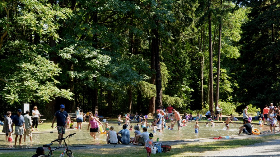 Families playing at the wading pool in Lincoln Park in West Seattle