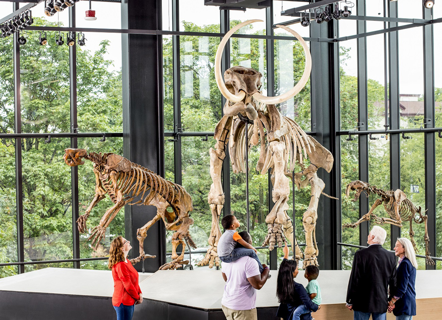 new burke museum paleo gallery