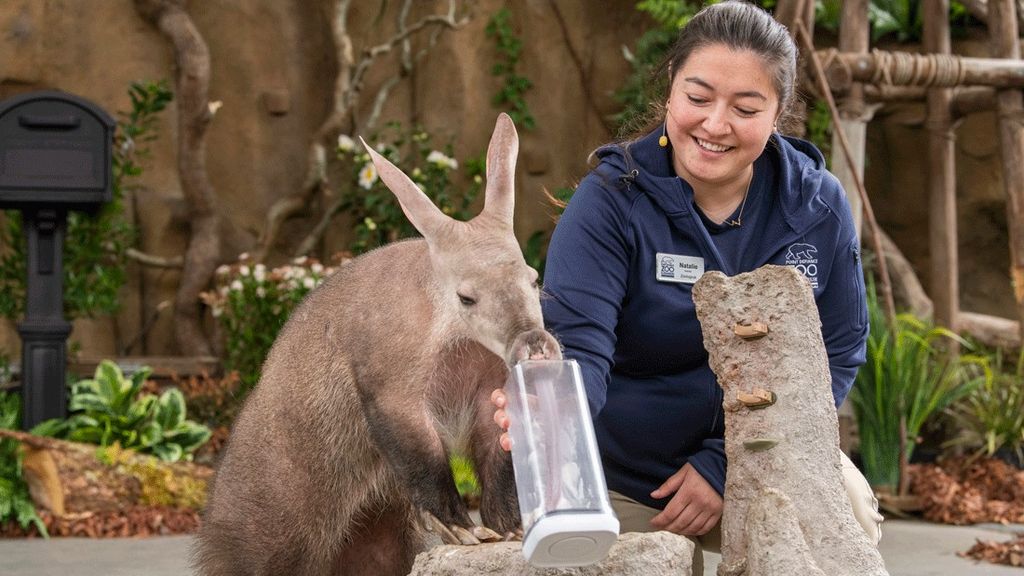 Brand-New Wild Wonders Outdoor Theater Show Debuts at Point Defiance Zoo & Aquarium