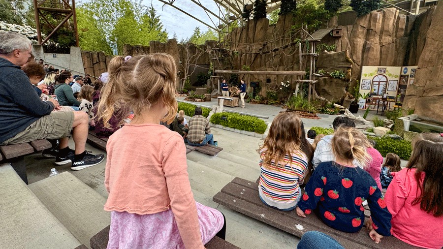 young kids watching the outdoor theater live animal show at Point Defiance Zoo