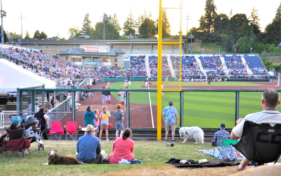 Everett AquaSox Baseball: Awesome, Affordable Family Fun