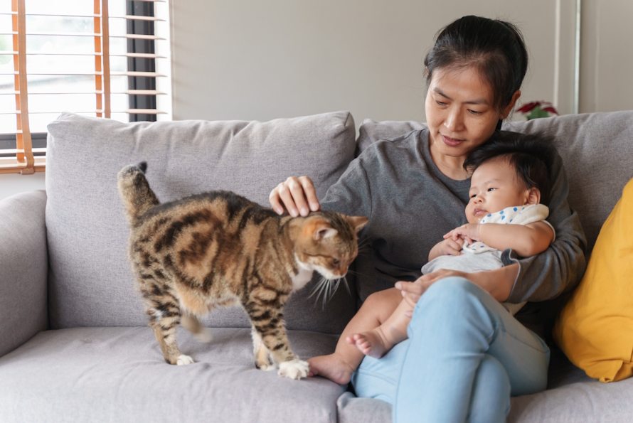 Mom and baby on the couch petting a cat