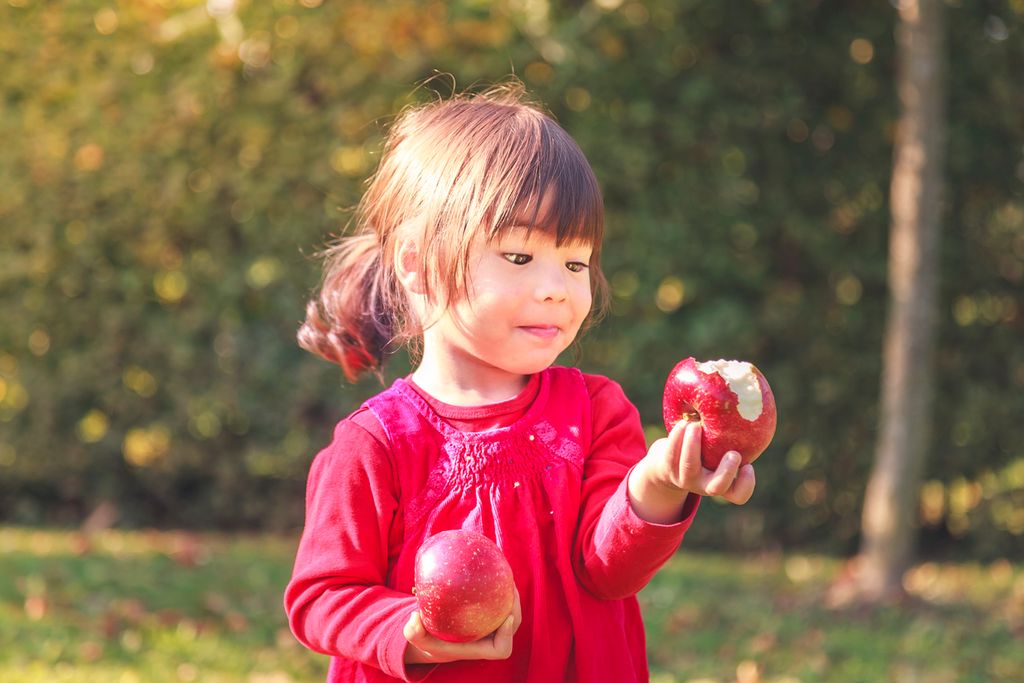 Apple and Cider-Pressing Events for Families This Fall