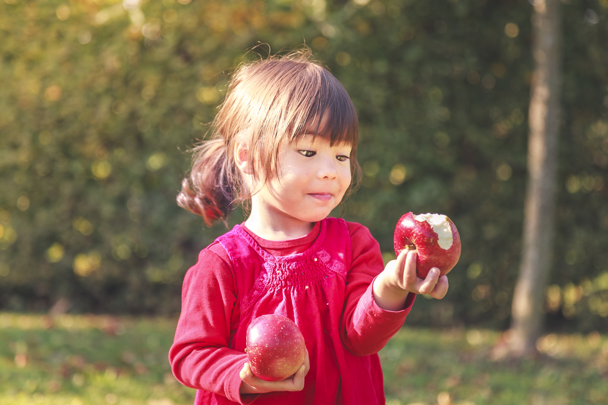 Small girl holding apples looking at one with bite in it apple and cider events Seattle kids families