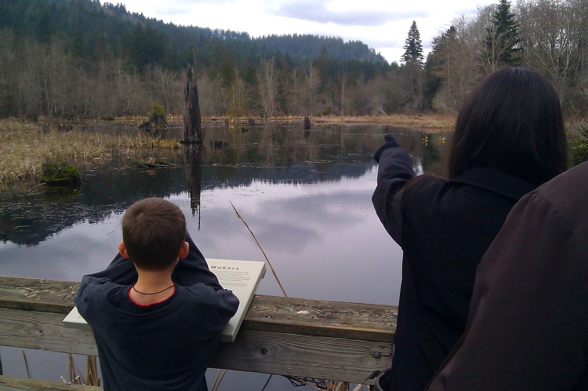 mclane creek nature trail capitol state forest near olympia best kid and family fall hikes south sound