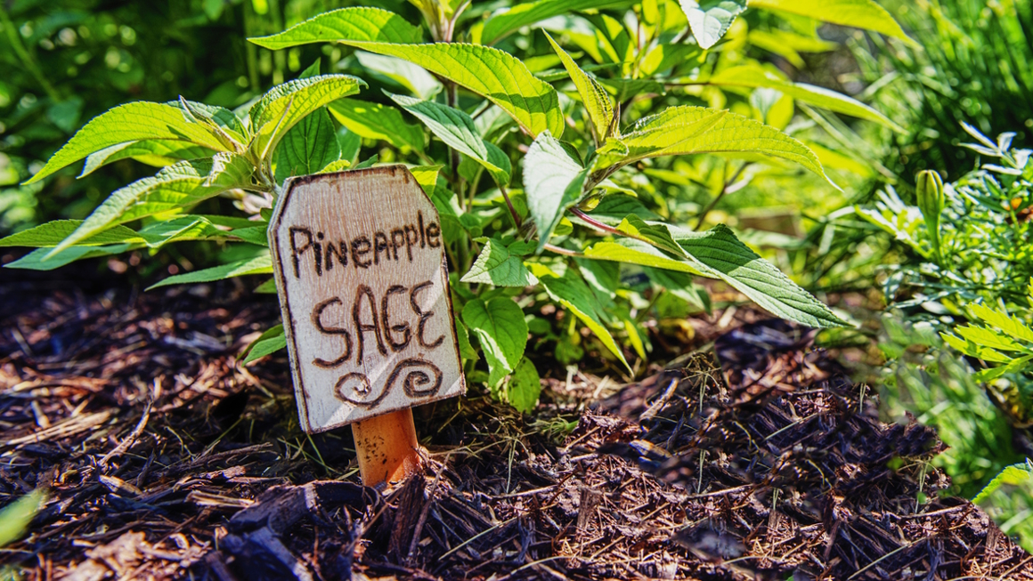 garden sign for a spring craft