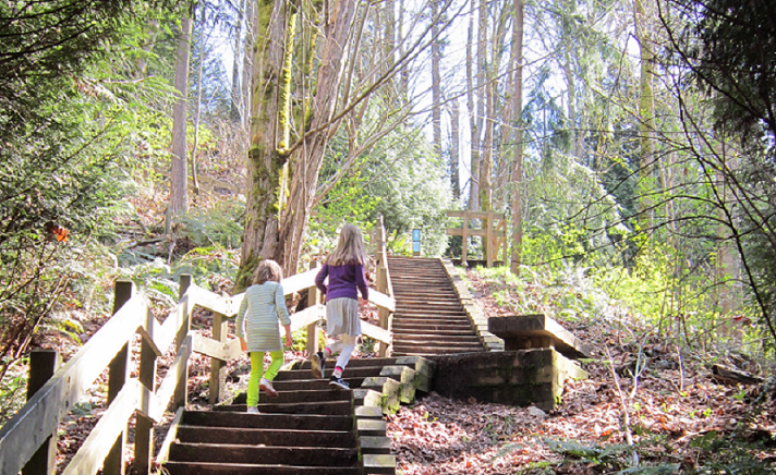 Climb the Streets: 5 Exciting Stairway Walks for Seattle-Area Families